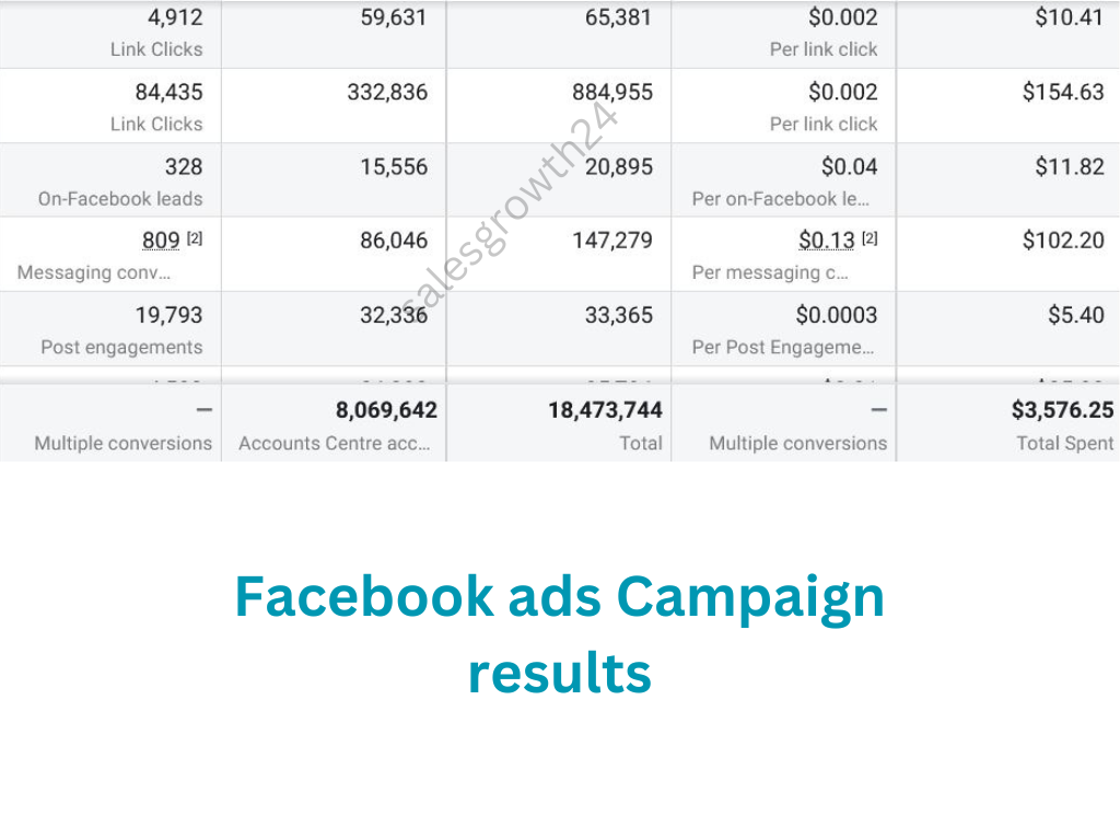 Facebook ads Campaign result2
