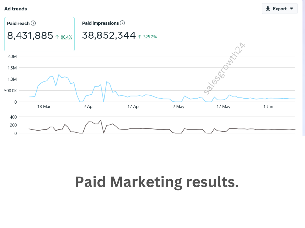 Paid Marketing results1