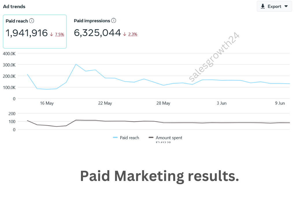 Paid Marketing results2