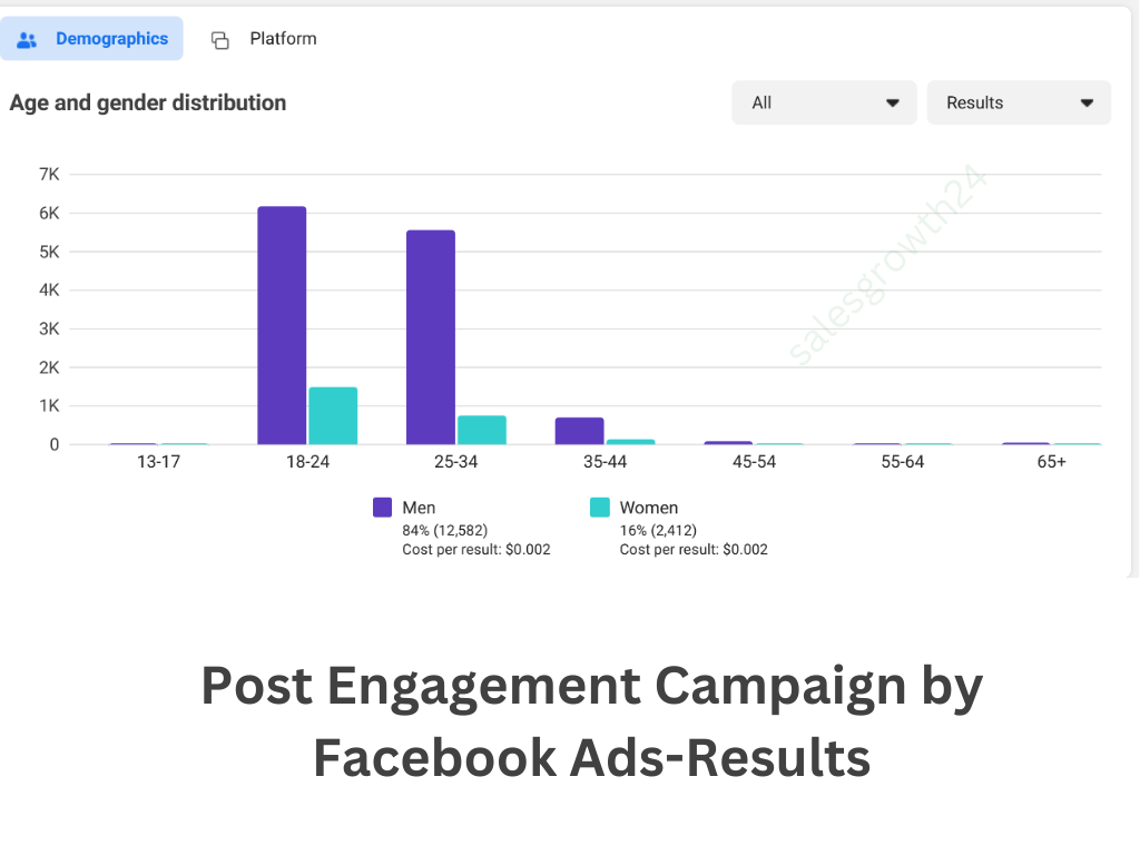 Post Engagement Campaign by Facebook Ads-Result3