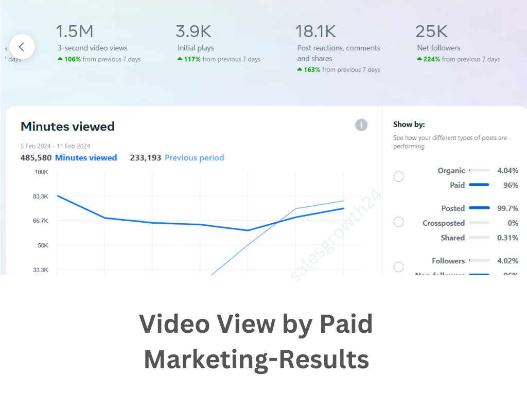 Video veiws by Paid Marketing-results2